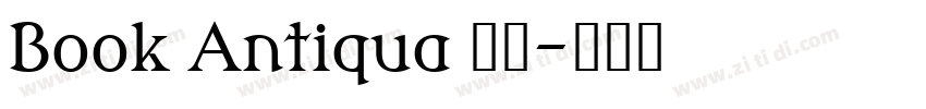 Book Antiqua 常规字体转换